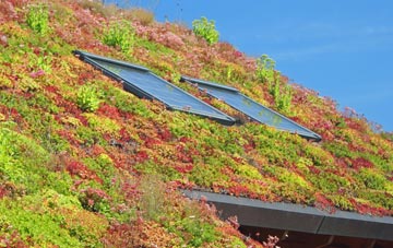 Mickley living roof systems